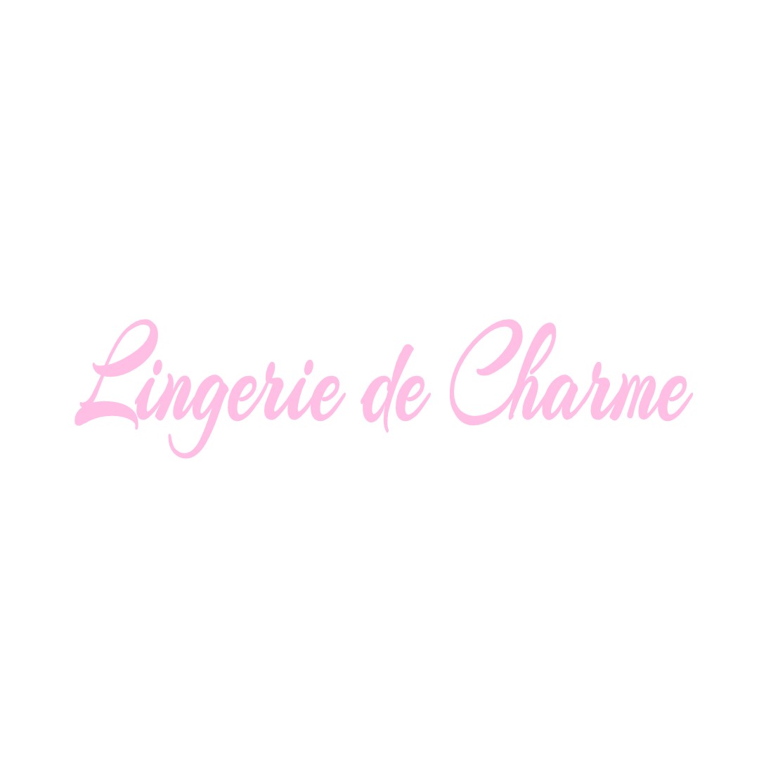 LINGERIE DE CHARME LA-VILLE-AUX-BOIS-LES-PONTAVERT